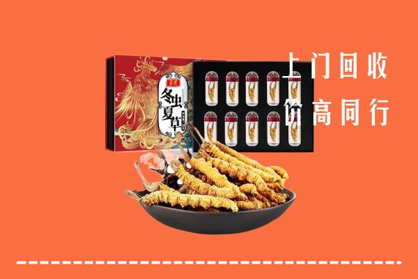 精河县回收虫草